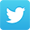 Icon twitter